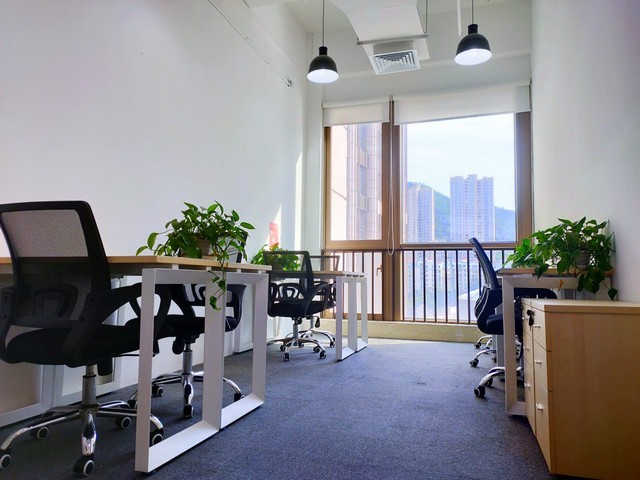 广东带灯轻触开关型号