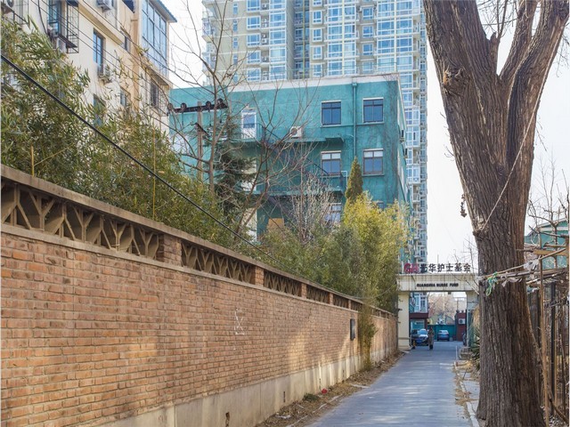 河南气囊监测管路连续监测与控制仪贵不贵